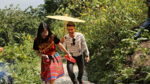 Mùa hoa dã quỳ tại Ba Vì